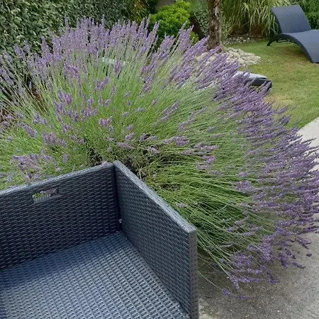 Chez Habitant *